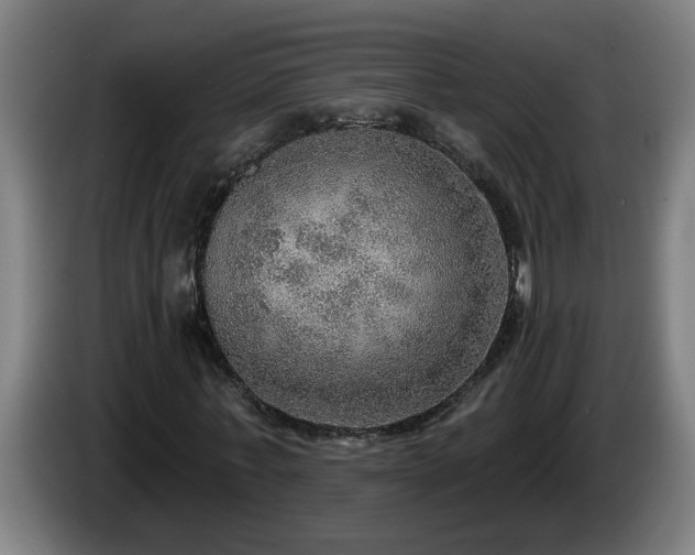 X0000086000771200703300947