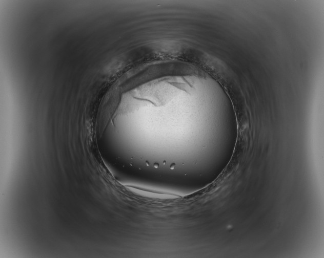 X0000086000772200703300947