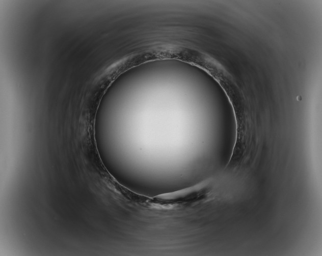 X0000086000773200703300947