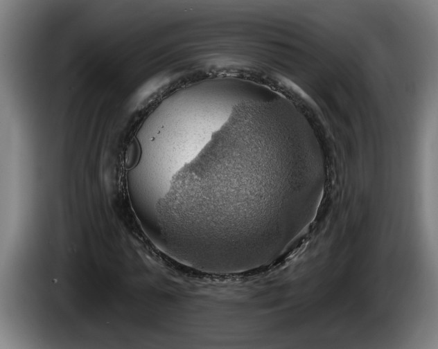 X0000086000775200703300947