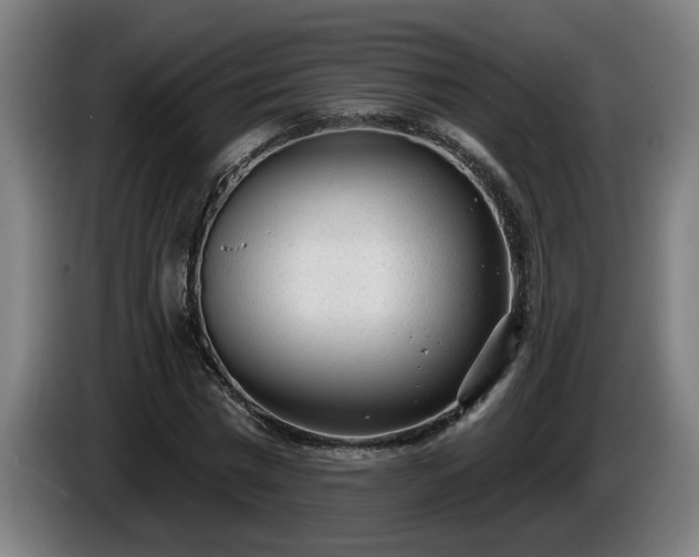 X0000086000777200703300947