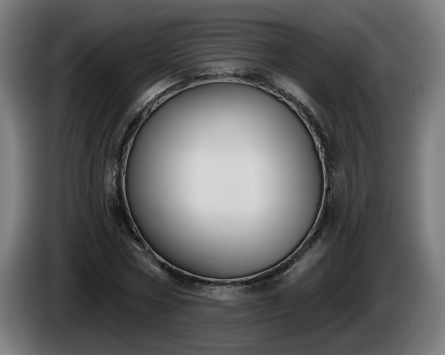 X0000086000778200703300947