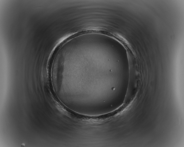 X0000086000779200703300947