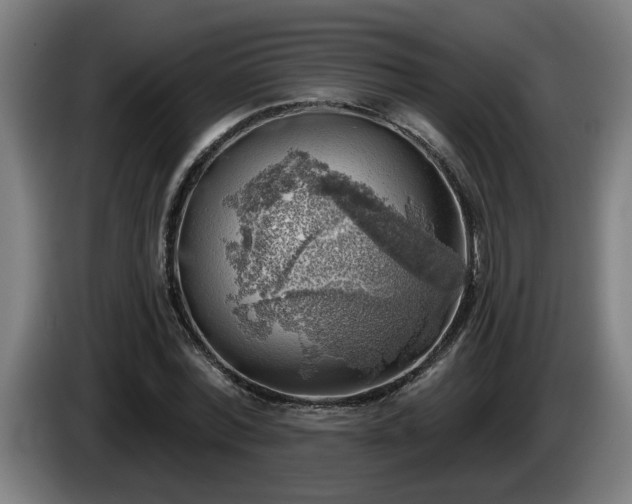 X0000086000780200703300947