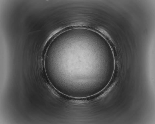 X0000086000781200703300947