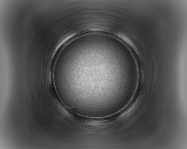 X0000086000782200703300947