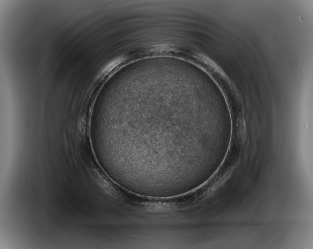 X0000086000785200703300947