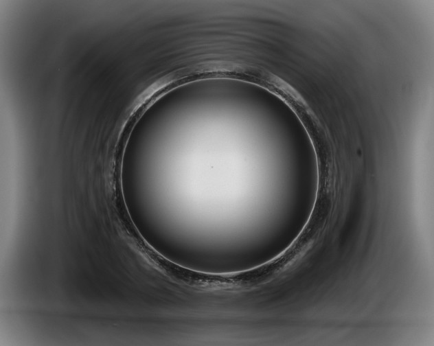 X0000086000786200703300947