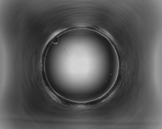 X0000086000787200703300947