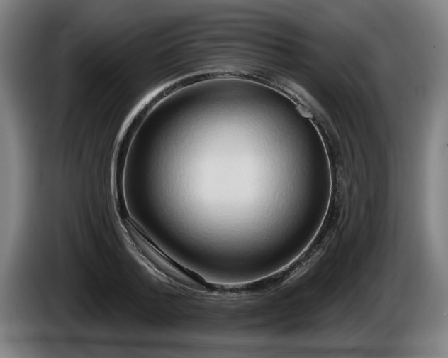 X0000086000788200703300947