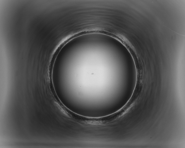 X0000086000789200703300946