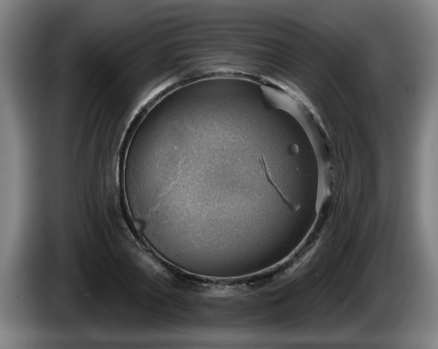 X0000086000790200703300946