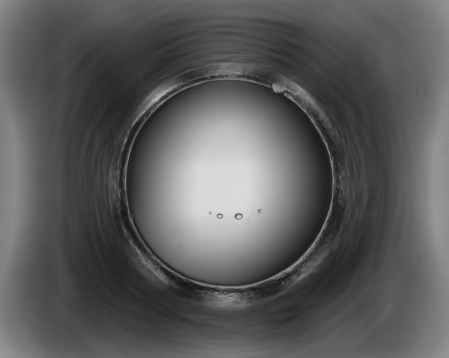 X0000086000794200703300946