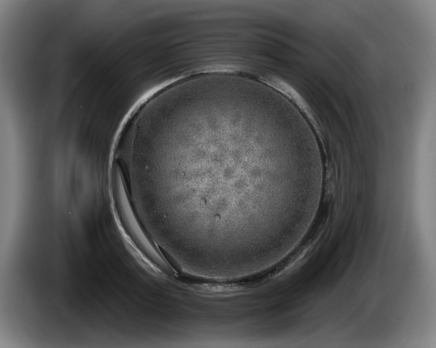 X0000086000795200703300946