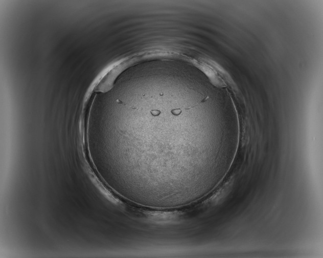 X0000086000796200703300946