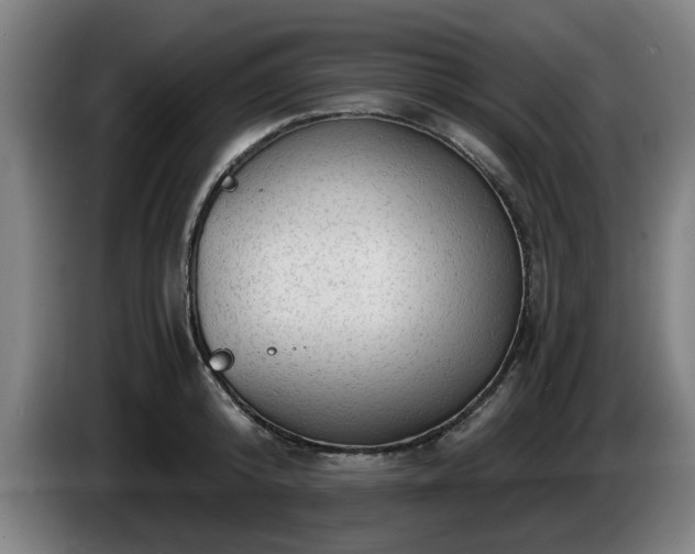 X0000086000800200703300946