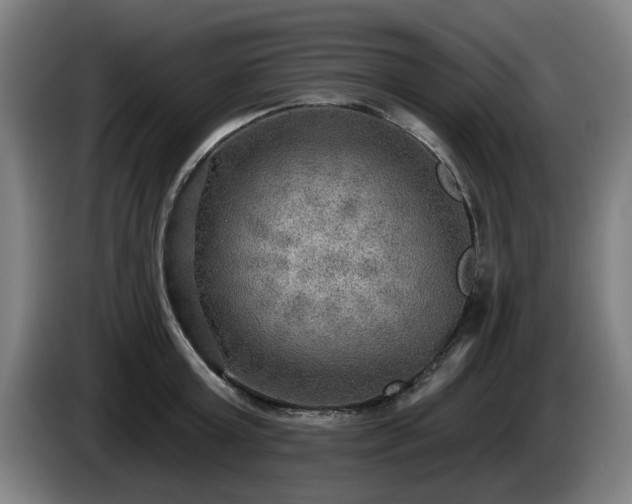 X0000086000803200703300946