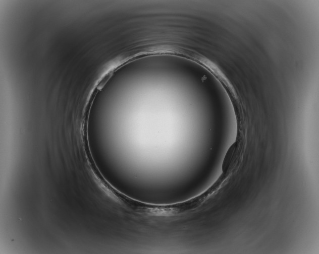 X0000086000805200703300946