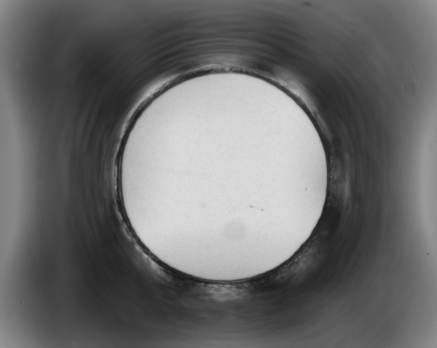 X0000086000807200703300946