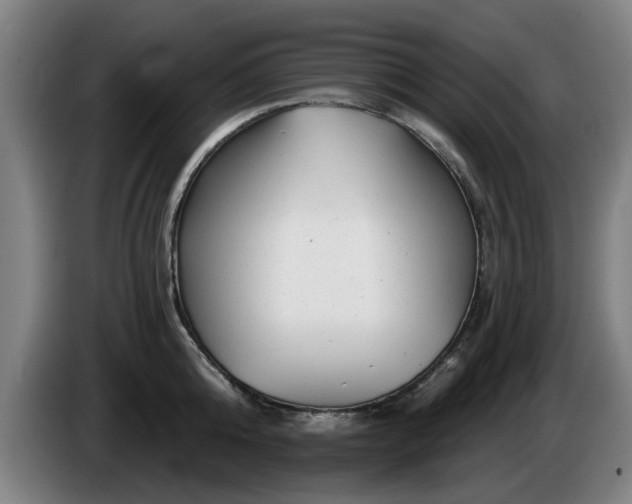 X0000086000808200703300946