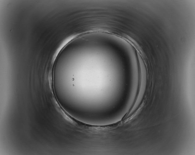 X0000086000812200703300946