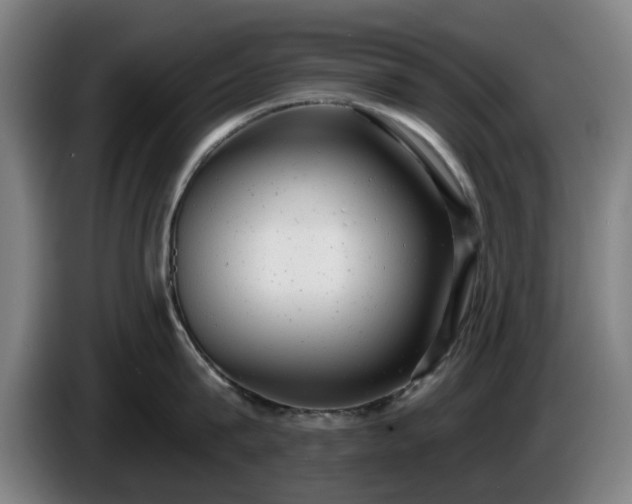 X0000086000815200703300946