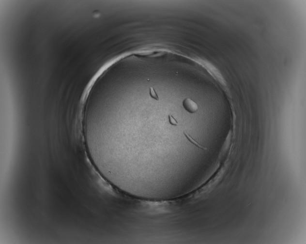 X0000086000816200703300946