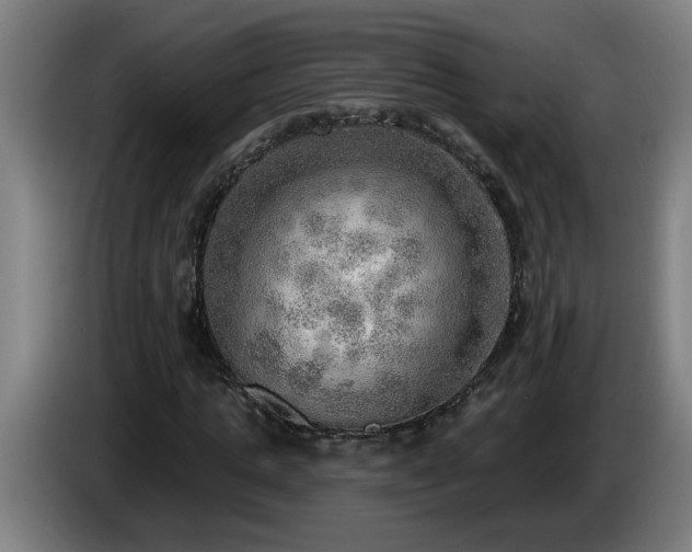 X0000086000821200703300945