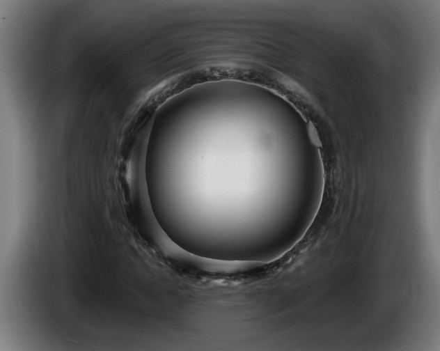 X0000086000822200703300946