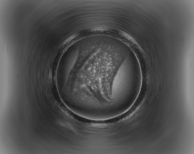 X0000086000825200703300946