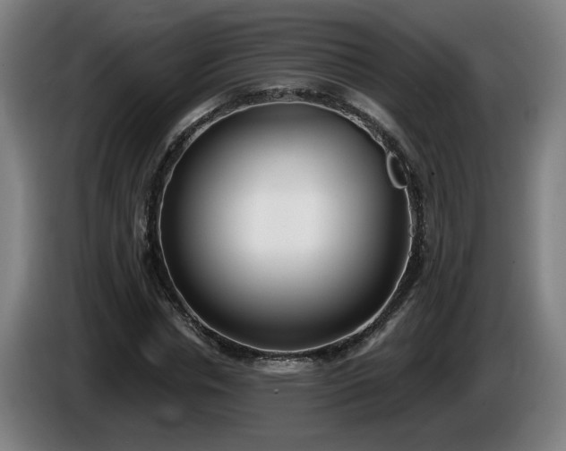 X0000086000826200703300946