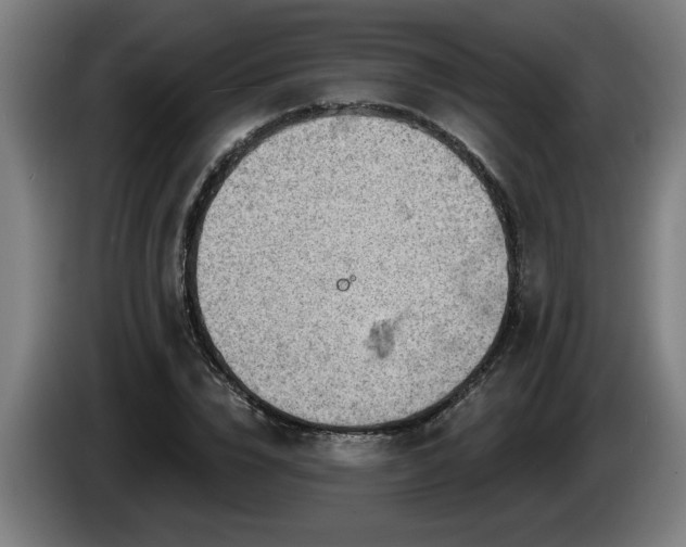 X0000086000832200703300946