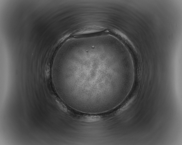 X0000086000833200703300946