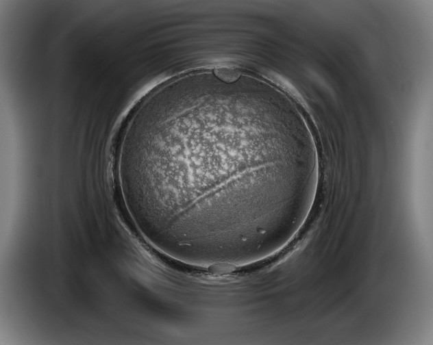 X0000086000835200703300946