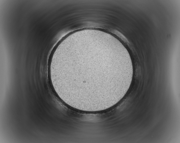 X0000086000836200703300946