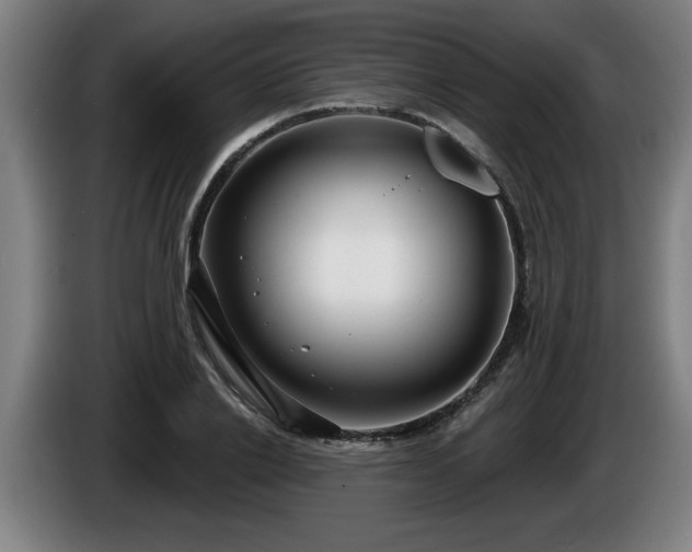 X0000086000838200703300946