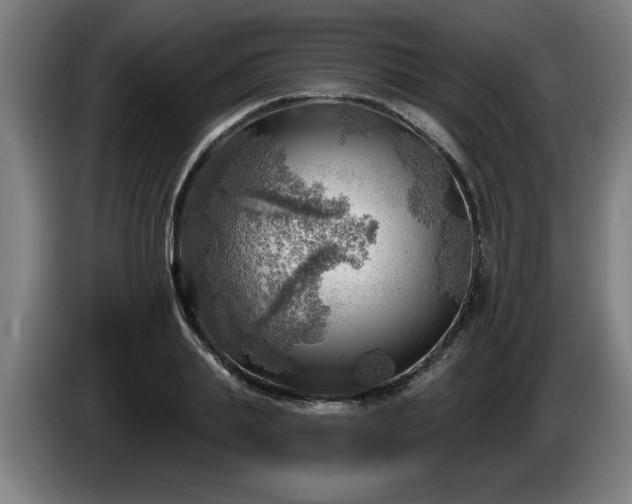 X0000086000839200703300946