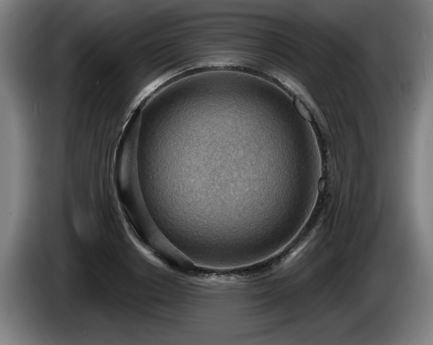 X0000086000842200703300946