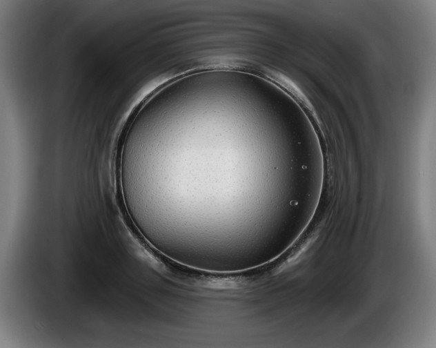 X0000086000843200703300946