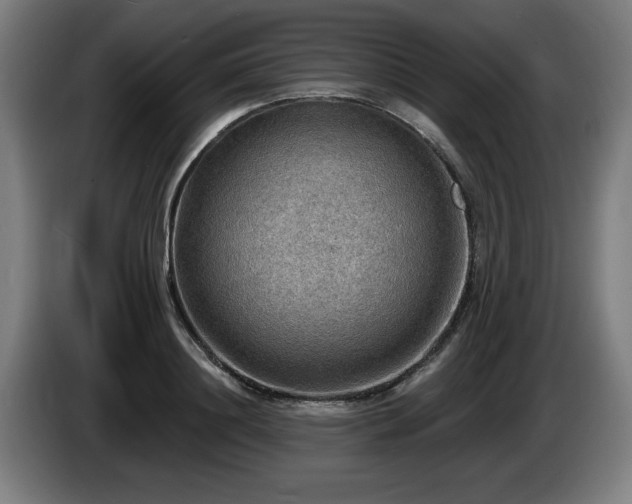 X0000086000844200703300946