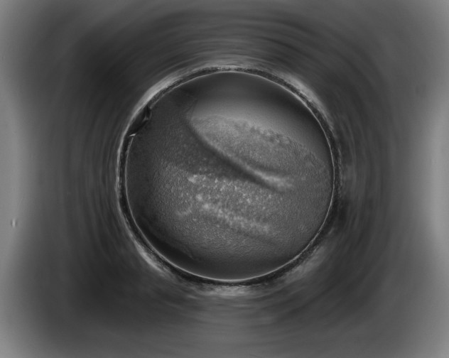 X0000086000845200703300946