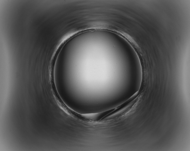 X0000086000846200703300946