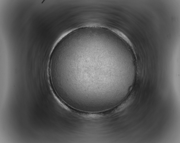 X0000086000847200703300946