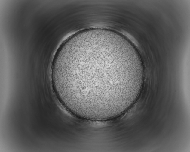 X0000086000848200703300946