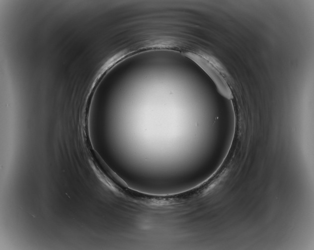 X0000086000850200703300946