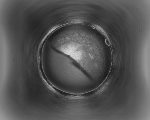 X0000086000851200703300946