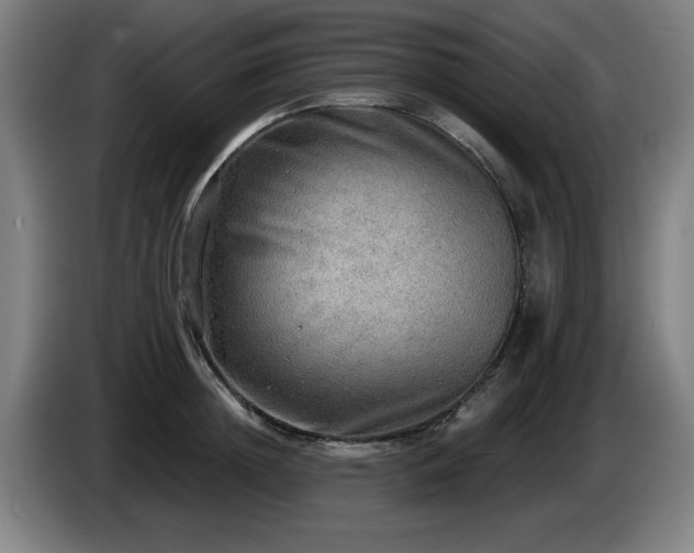 X0000086000852200703300946