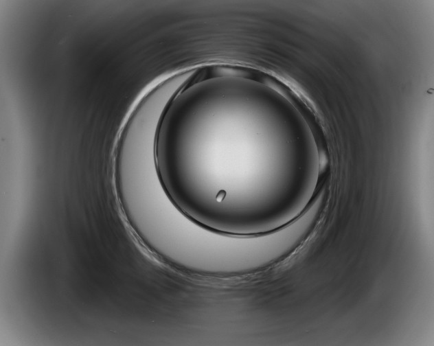 X0000086000854200703300946