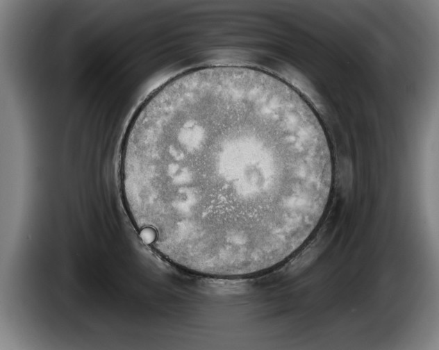 X0000086000856200703300946