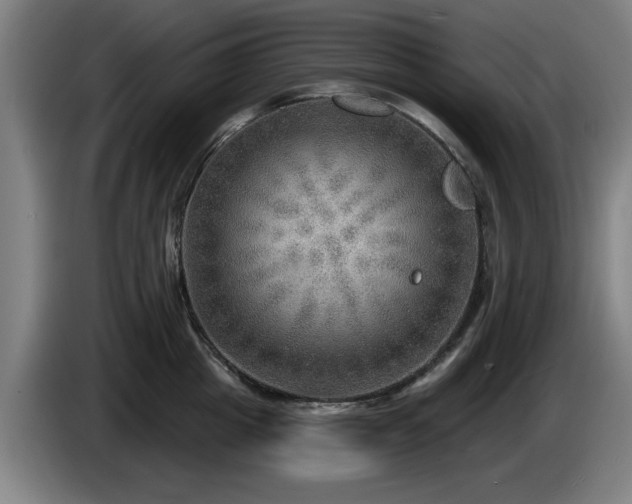 X0000086000857200703300946